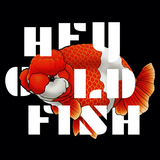 HeyGoldfish